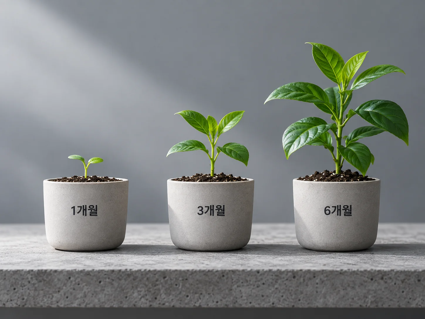 효과는 언제부터 보이고 무엇으로 확인할까?